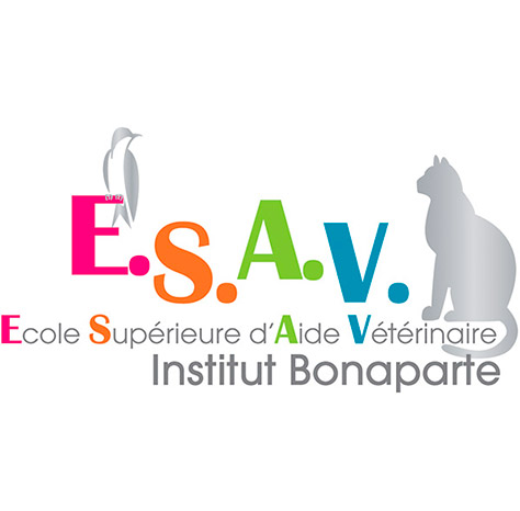 Logo ESAV